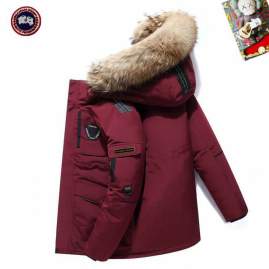 Picture of Canada Goose Down Jackets _SKUCanadaGooseM-3XL25tx0437925